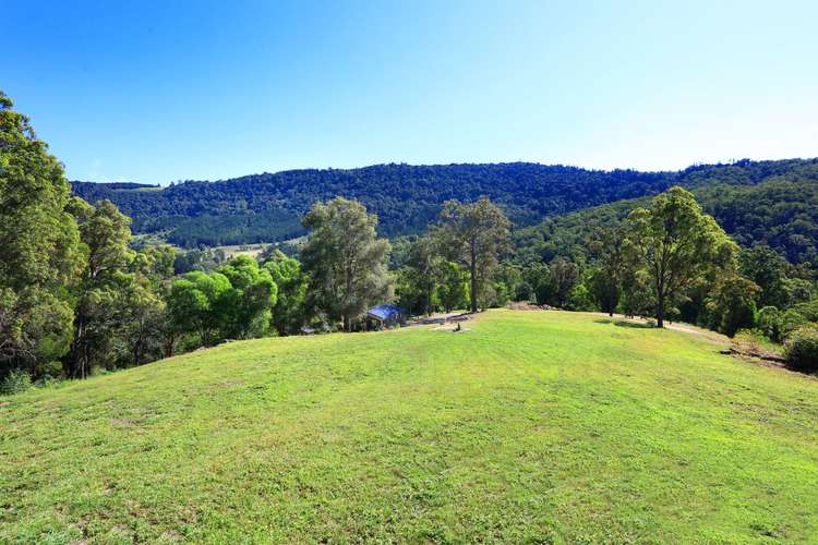 Fifth view of Homely acreageSemiRural listing, 121 Pocket Road, Numinbah Valley QLD 4211