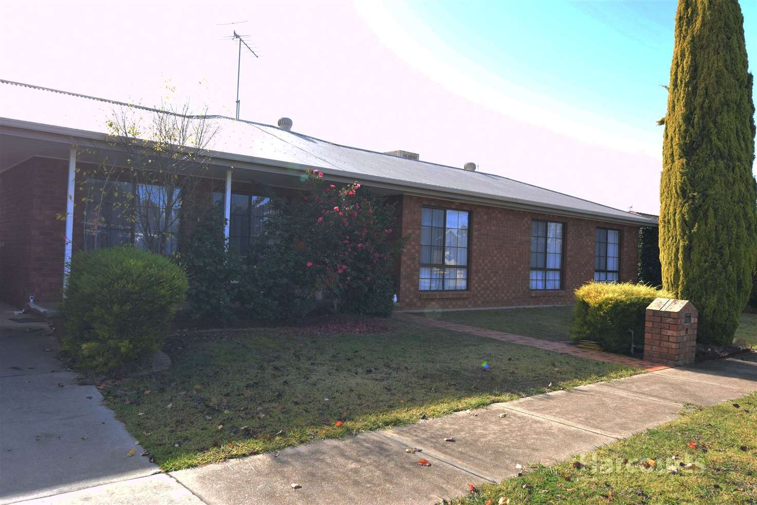 Main view of Homely house listing, 7 Pelican Court, Wangaratta VIC 3677