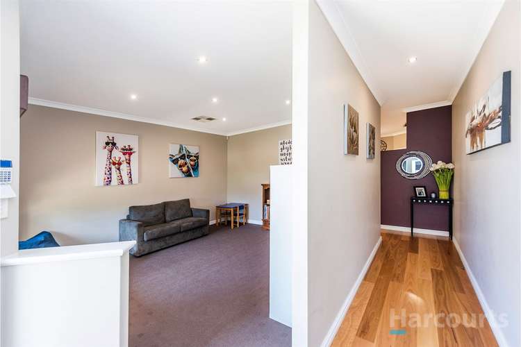 Third view of Homely house listing, 19 Auckland Way, Hocking WA 6065