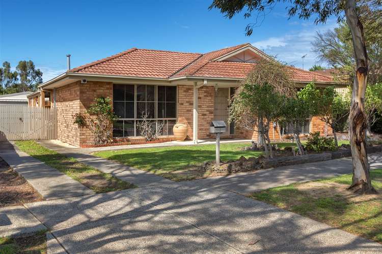 Main view of Homely house listing, 3 Nullica Court, Berwick VIC 3806
