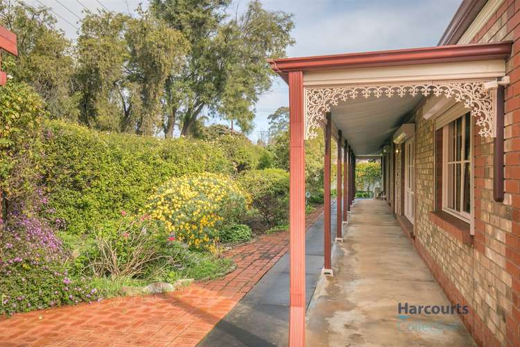 Second view of Homely house listing, 3 Halmon Avenue, Everard Park SA 5035