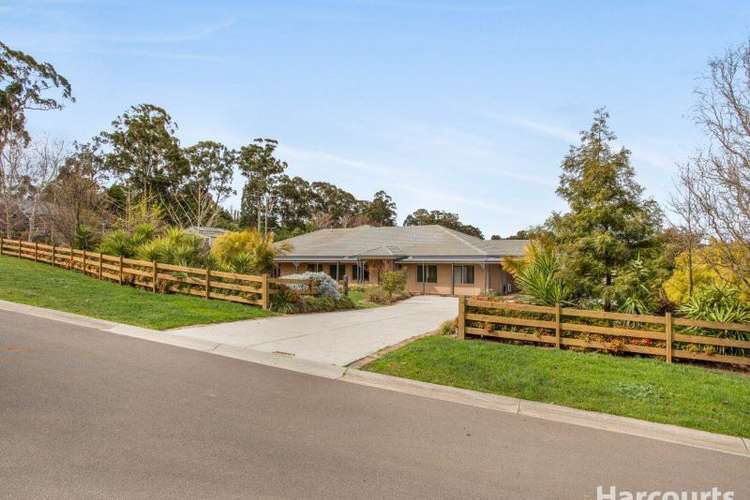 Fifth view of Homely house listing, 64 Kamanari Court, Drouin VIC 3818