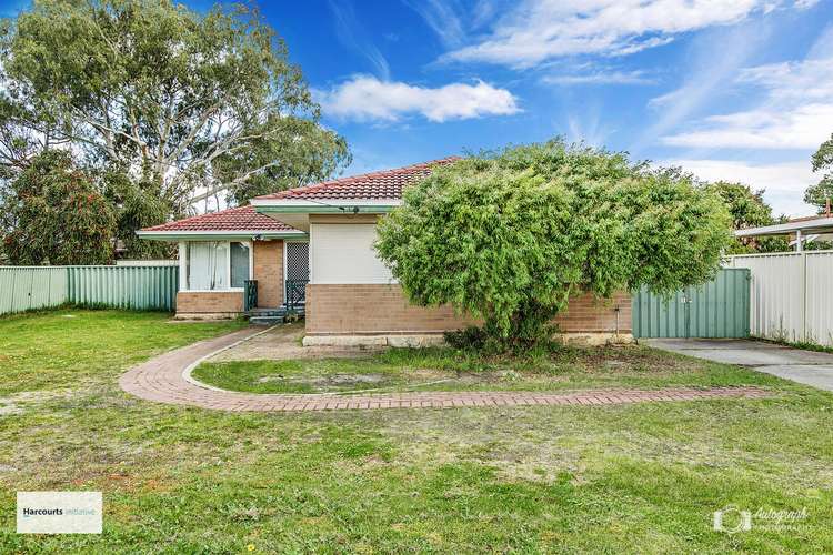 Main view of Homely house listing, 31 Burbridge Avenue, Koondoola WA 6064