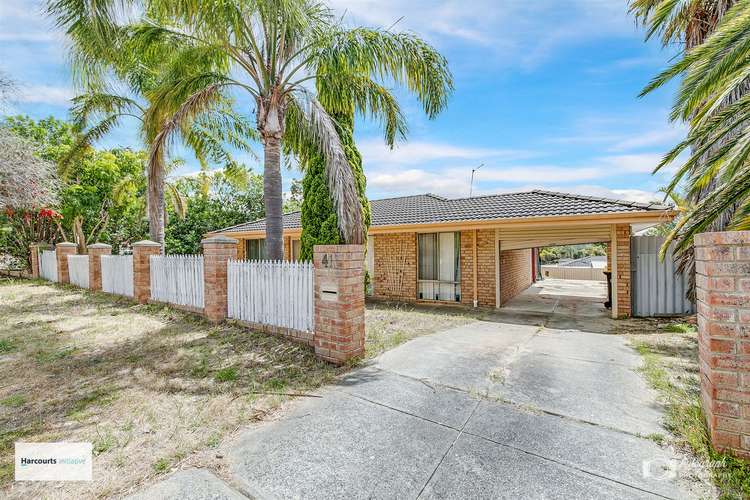 Main view of Homely house listing, 41 Apple Blossom Drive, Mirrabooka WA 6061