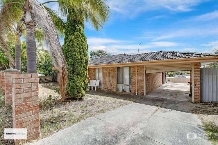 Second view of Homely house listing, 41 Apple Blossom Drive, Mirrabooka WA 6061
