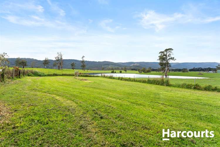 Seventh view of Homely house listing, 55 Main St, Ringarooma TAS 7263