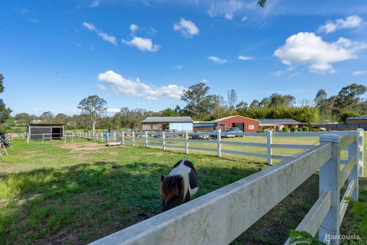 Main view of Homely house listing, 293-303 Leopardwood Road, Cedar Grove QLD 4285