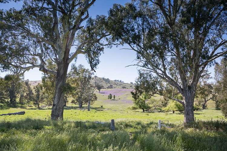 Fourth view of Homely ruralOther listing, Lot 2 Long Gully Road, Violet Town VIC 3669