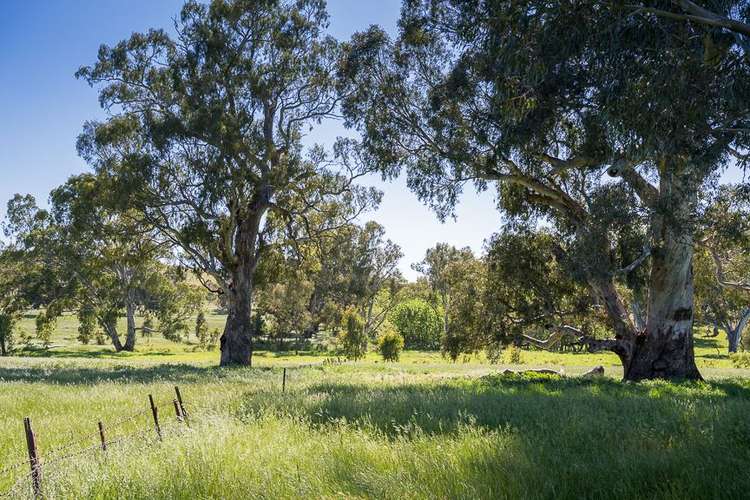 Fifth view of Homely ruralOther listing, Lot 2 Long Gully Road, Violet Town VIC 3669