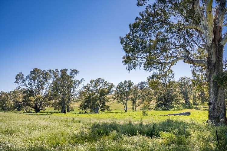Sixth view of Homely ruralOther listing, Lot 2 Long Gully Road, Violet Town VIC 3669