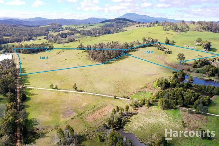 Main view of Homely acreageSemiRural listing, Lot 1 & 2 Storys Road, Lebrina TAS 7254