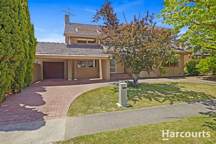 Main view of Homely house listing, 29 Ranfurlie Drive, Glen Waverley VIC 3150