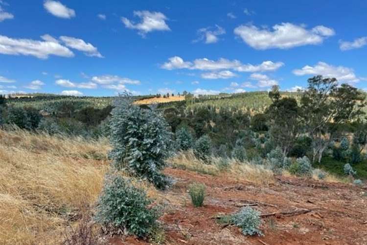 lot 0 South Western Highway, Hester Brook WA 6255