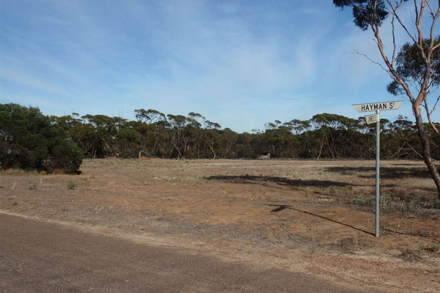 Main view of Homely residentialLand listing, Allotment 86 & 87 Hayman Street, Minnipa SA 5654