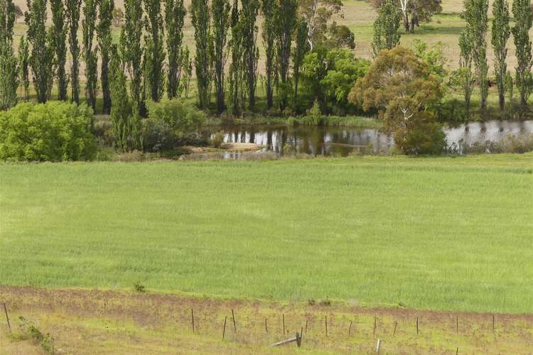 Main view of Homely mixedFarming listing, 195 Lowanna Way, Cooma NSW 2630