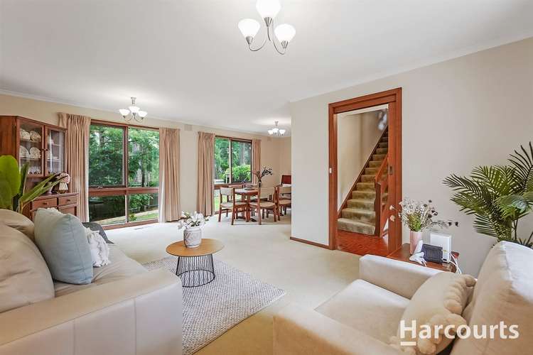 Fifth view of Homely house listing, 13 Talarno Avenue, Vermont South VIC 3133