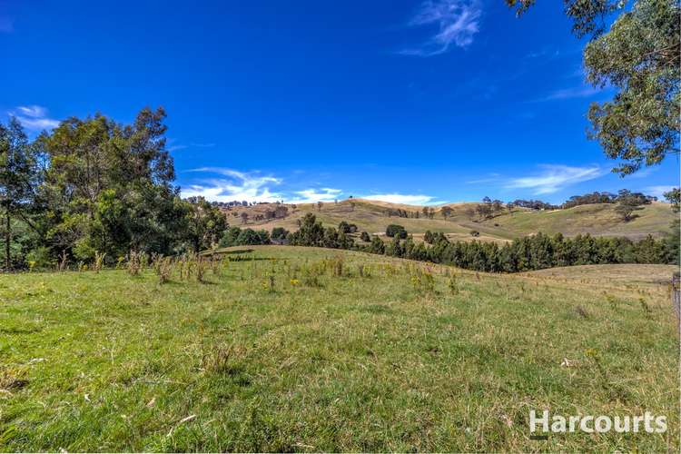 Sixth view of Homely ruralOther listing, 136 O'Tooles Road, Wild Dog Valley VIC 3953