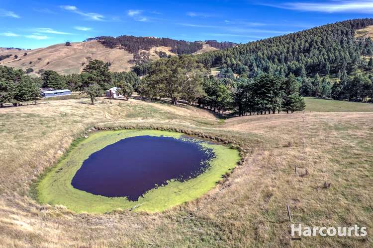 Seventh view of Homely ruralOther listing, 136 O'Tooles Road, Wild Dog Valley VIC 3953