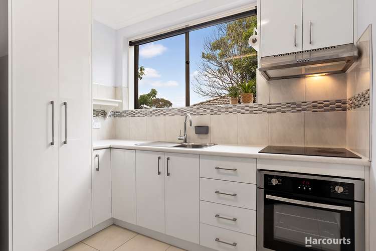 Main view of Homely unit listing, 5/41 Potter Street, Dandenong VIC 3175