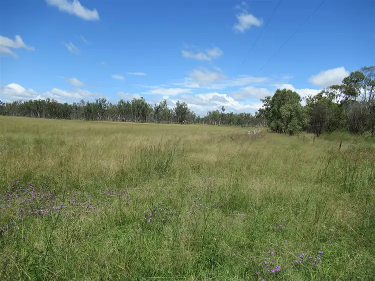 Seventh view of Homely rural property listing, Lot 11 Hendon Victoria Hill Road, Old Talgai QLD 4365