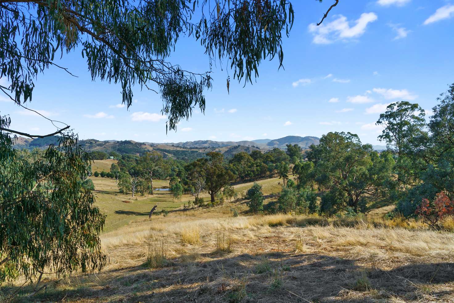 Main view of Homely residentialLand listing, Lot 2A, 13B Cummins Road, Mansfield VIC 3722