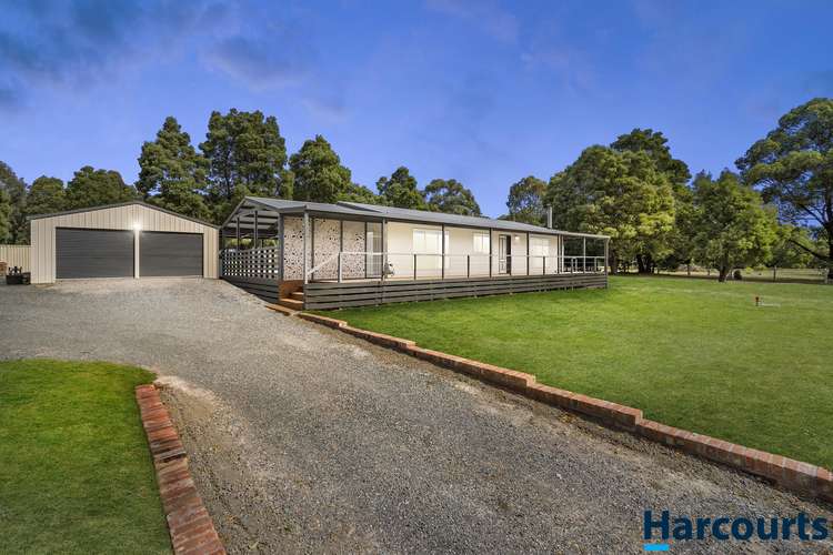 Main view of Homely house listing, 100 Melaleuca Road, Enfield VIC 3352