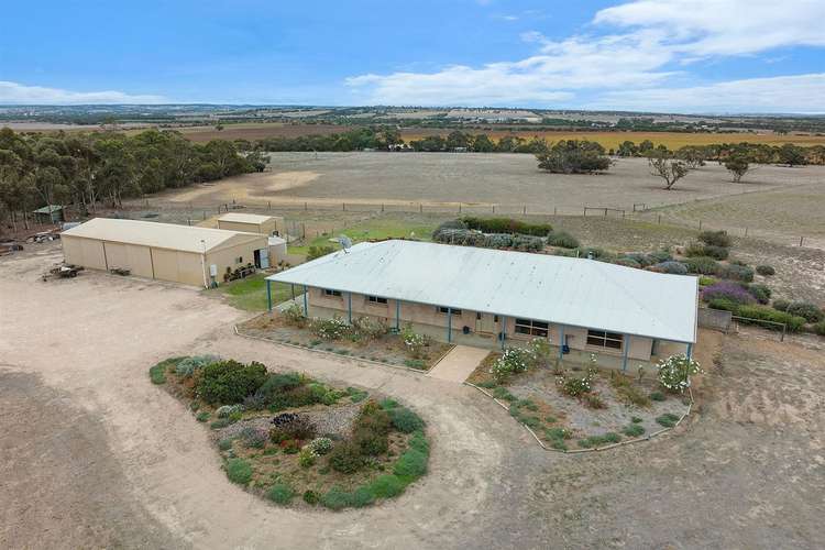 111 Schultz Road, Strathalbyn SA 5255