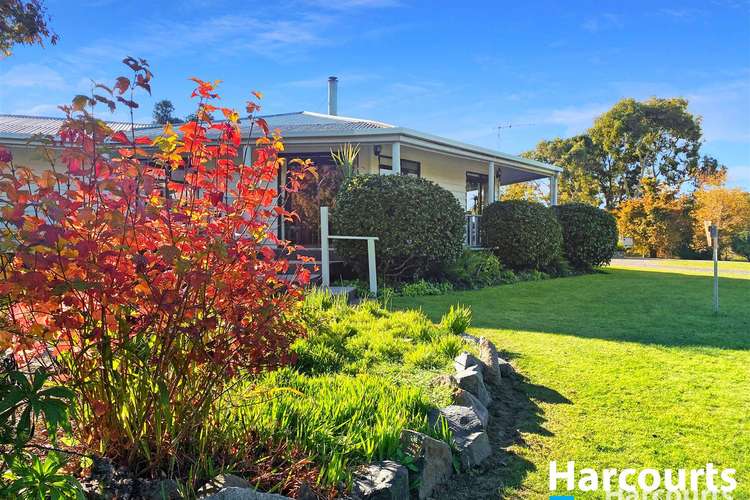 Third view of Homely house listing, 126 Ansons Bay Road, St Helens TAS 7216