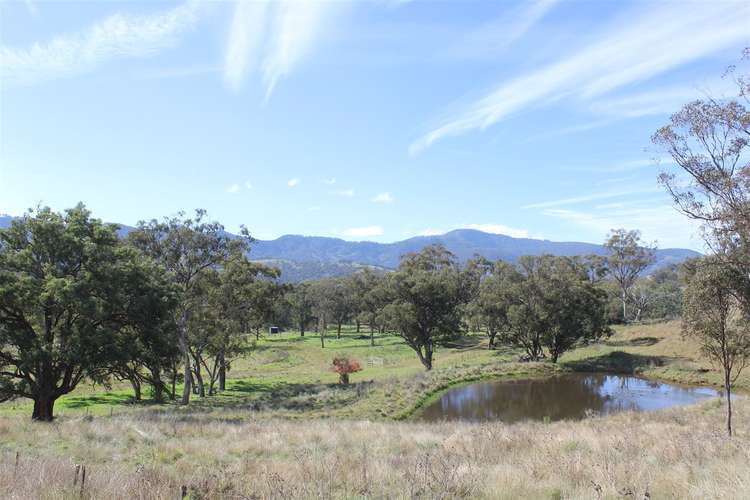 1670 Timor Crawney Road, Timor NSW 2338