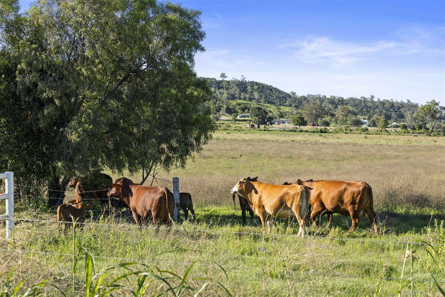 Main view of Homely lifestyle listing, Lot 2 Glencoe Yalangur Road, Gowrie Junction QLD 4352