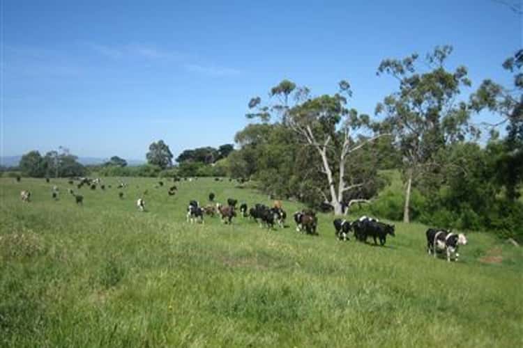 Main view of Homely livestock listing, 1713 Cairnbrook Rd, Glengarry VIC 3854