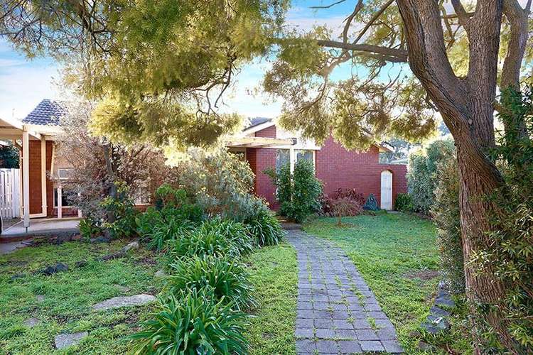 Main view of Homely house listing, 19 Gaynor Crescent, Glen Waverley VIC 3150