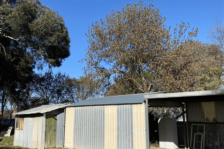 Third view of Homely residentialLand listing, 94 Torrens Road, Riverton SA 5412