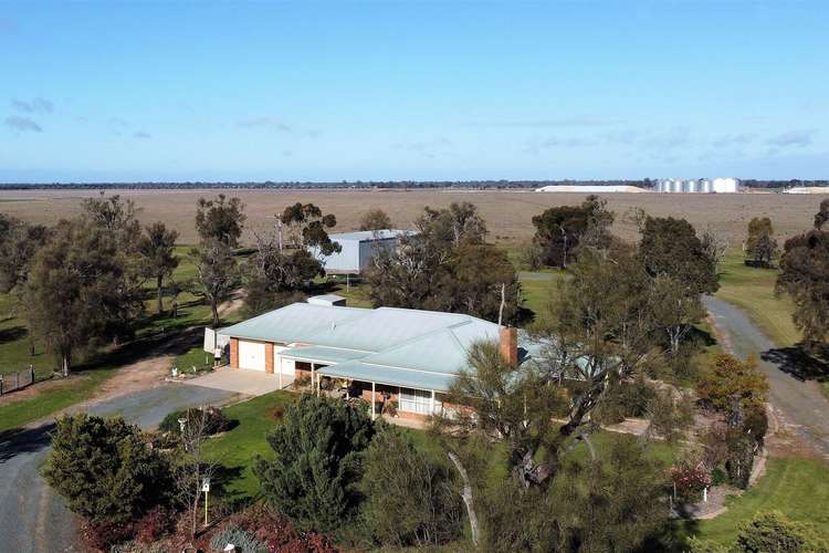 Main view of Homely ruralOther listing, 315 Ham Road, Moama NSW 2731