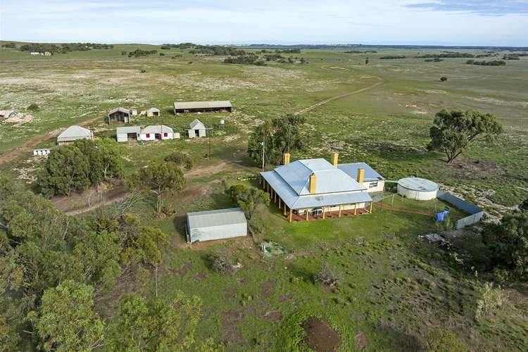 Main view of Homely livestock listing, 20546 Flinders Highway, Talia SA 5670