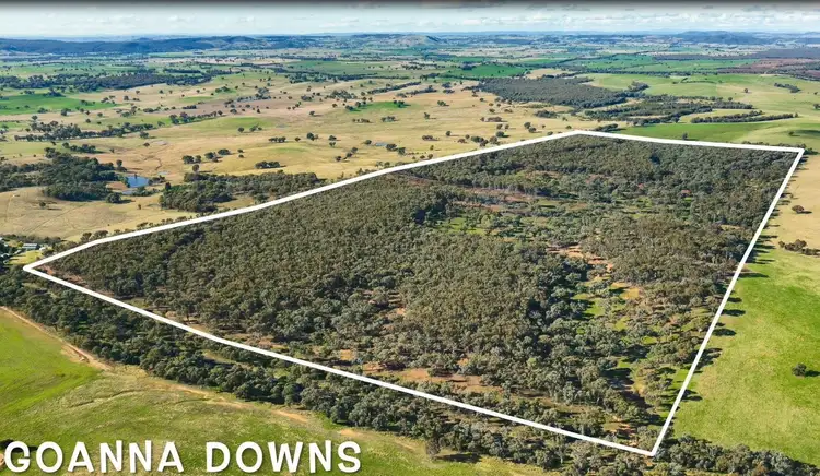 Main view of Homely rural property listing, . Holbrook Wagga Road, Cookardinia NSW 2650