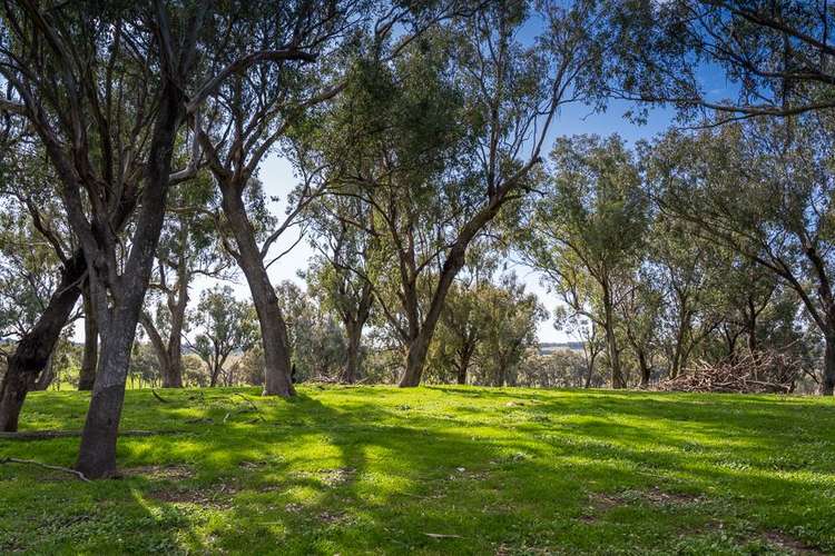 Third view of Homely ruralOther listing, Lot 1 Fetrim Road, Earlston VIC 3669