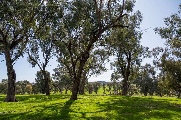 Sixth view of Homely ruralOther listing, Lot 1 Fetrim Road, Earlston VIC 3669