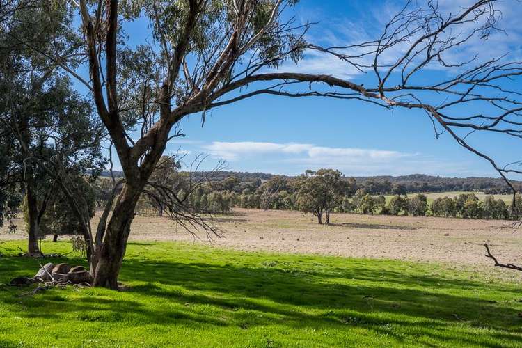 Seventh view of Homely ruralOther listing, Lot 1 Fetrim Road, Earlston VIC 3669