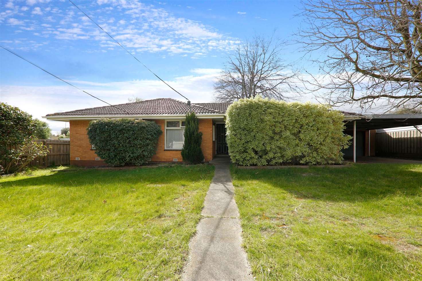 Main view of Homely house listing, 19 Solomon Street, Mount Waverley VIC 3149