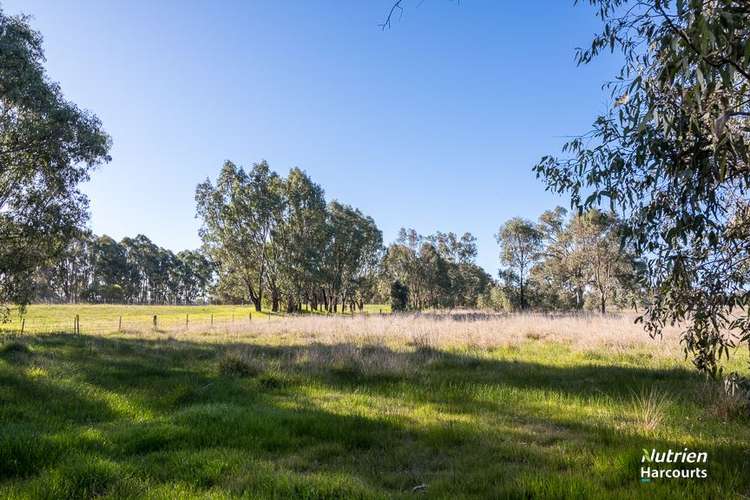 Seventh view of Homely mixedFarming listing, Lot 1 Coach Road, Winton VIC 3673