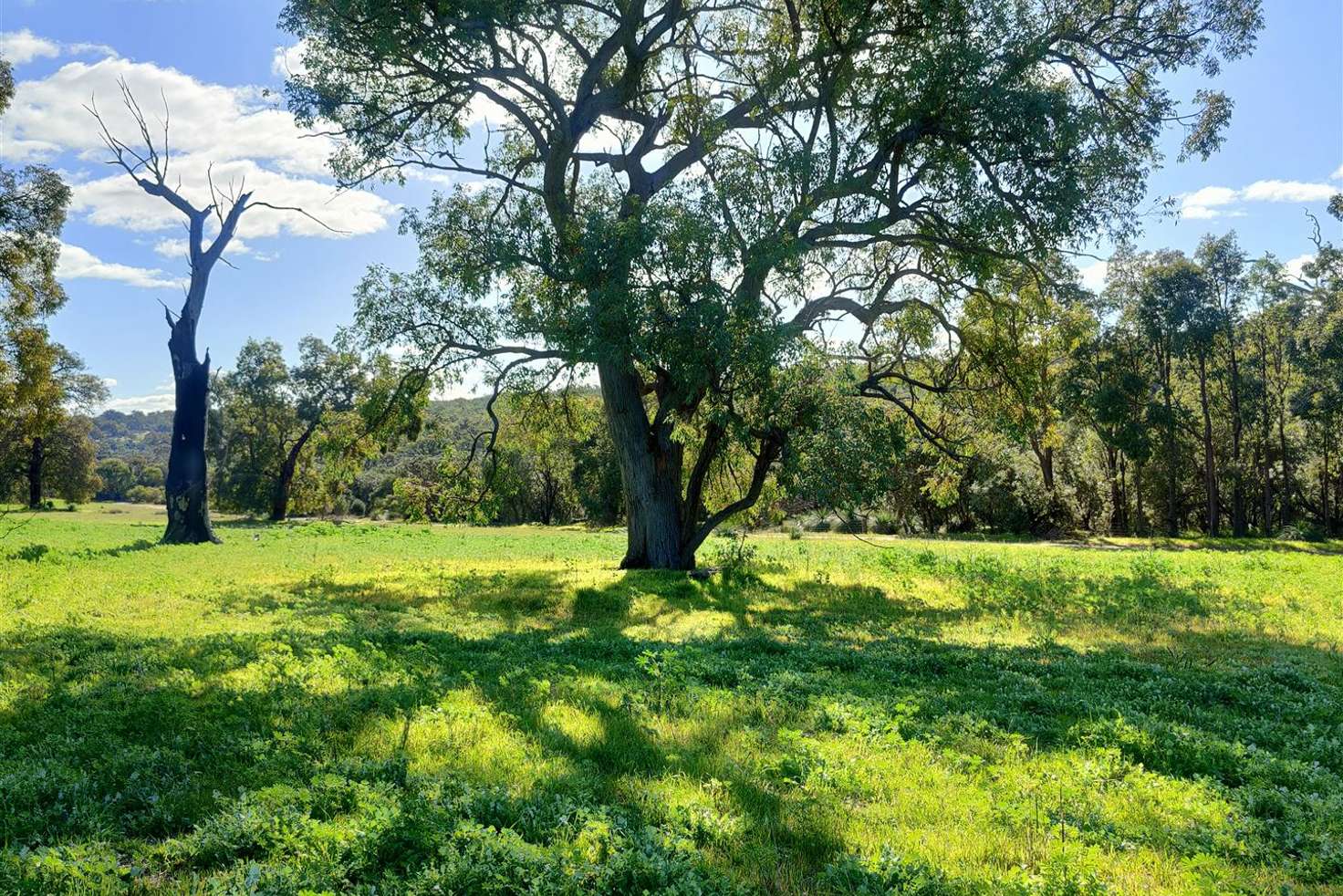 Main view of Homely ruralOther listing, 902 Teatree Road, Bindoon WA 6502