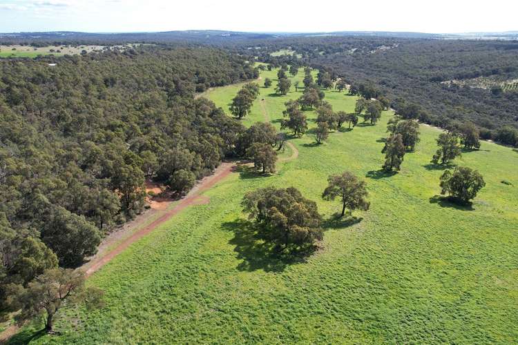 Second view of Homely ruralOther listing, 902 Teatree Road, Bindoon WA 6502