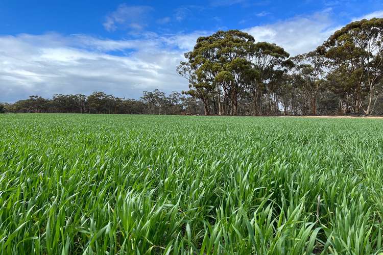 . 'Wells" Dangin North Road, Quairading WA 6383