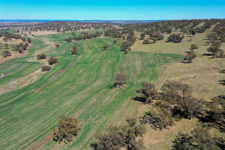 Main view of Homely lifestyle listing, 'Valley View' Racecourse Road, Cassilis NSW 2329