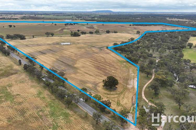 Main view of Homely cropping listing, CA 42, 42a & 43 Horsham - Noradjuha Road, Lower Norton VIC 3401