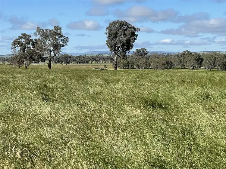 Third view of Homely rural property listing, Lot 992 Holbrook Wagga Road, Cookardinia NSW 2650