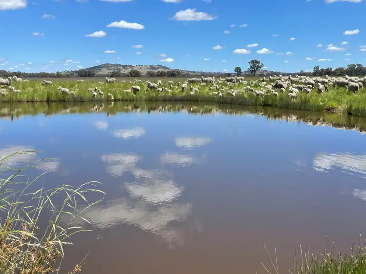 Fourth view of Homely rural property listing, Lot 992 Holbrook Wagga Road, Cookardinia NSW 2650
