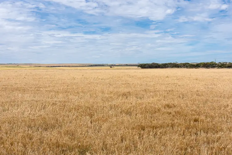 Second view of Homely rural property listing, 2372 Kulkawurra Road, Sherlock SA 5301