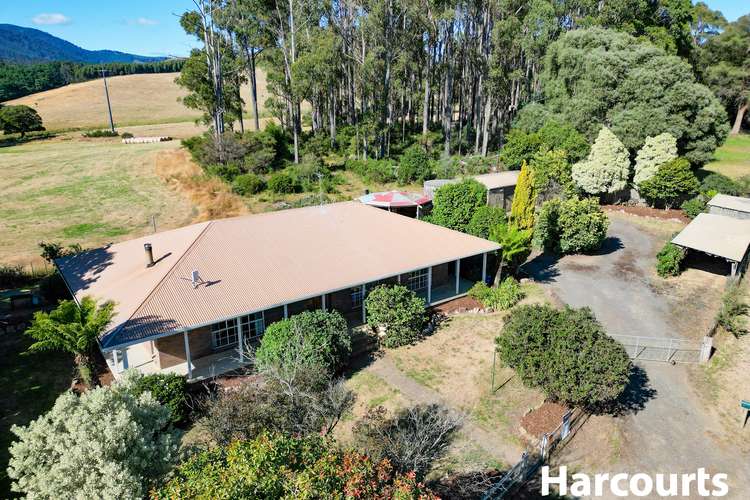 Main view of Homely house listing, 377 Ten Mile Track, Springfield TAS 7260